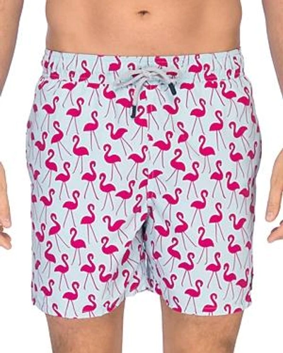 Shop Tom & Teddy Flamingo Print Swim Trunks In Fuschia
