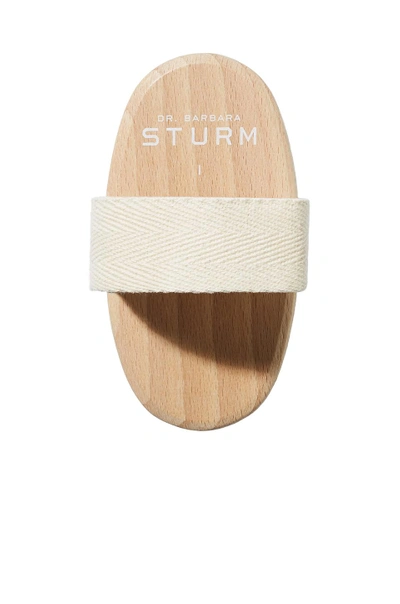 Shop Dr Barbara Sturm The Body Brush In Soft