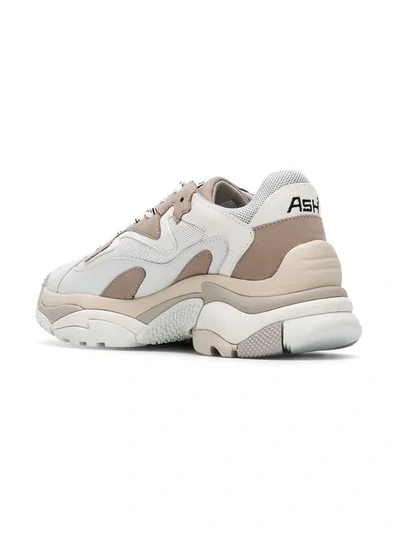 Shop Ash Addict Sneakers - Grey
