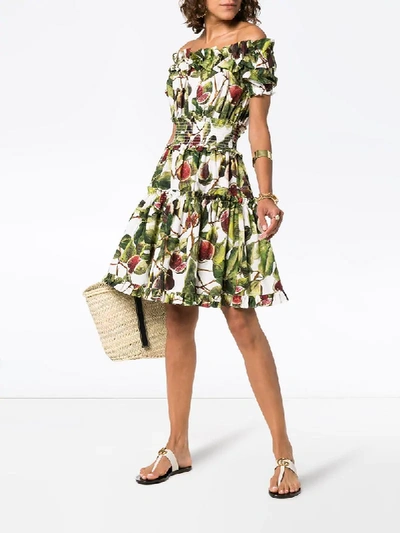 Shop Dolce & Gabbana Fig Print Off-the-shoulder Cotton Dress In Green