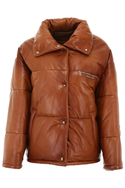 Shop Prada Nappa Puffer Jacket In Palissandromarrone