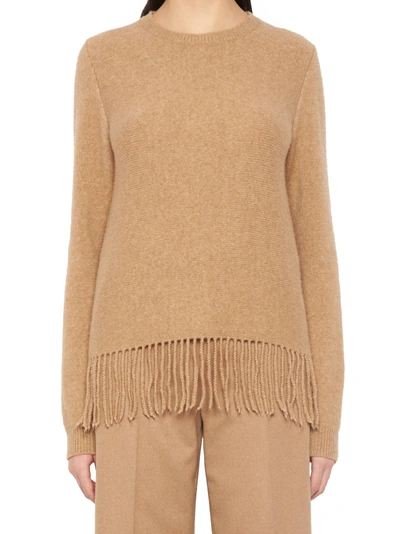 Shop Max Mara 'tecnico' Sweater In Brown