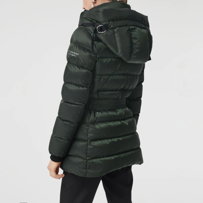 Shop Burberry Down-filled Hooded Puffer Coat In Dark Racing Green