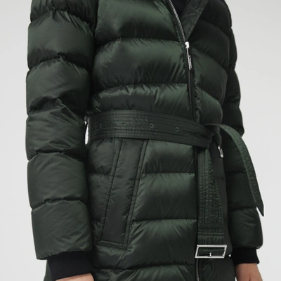 Shop Burberry Down-filled Hooded Puffer Coat In Dark Racing Green
