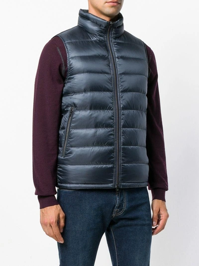 Shop Herno Zipped Padded Vest - Blue