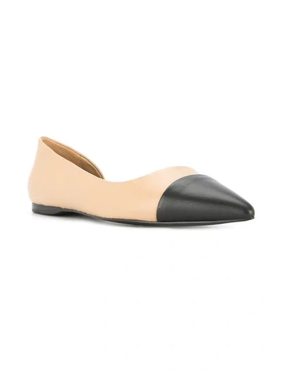 Shop Senso Honor I Ballerinas In Brown