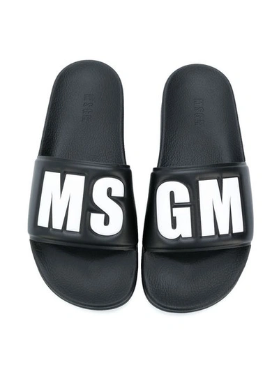 Shop Msgm Logo Slides In Black