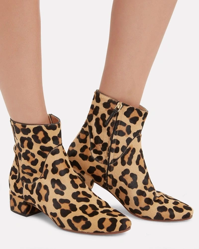 Shop Francesco Russo Leopard Haircalf Booties