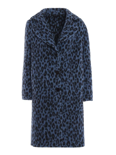 Shop Ermanno Scervino Leopard Print Coat In Oblu Nero