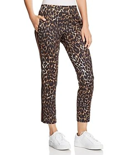 Shop Pam & Gela Leopard Print Cropped Track Pants