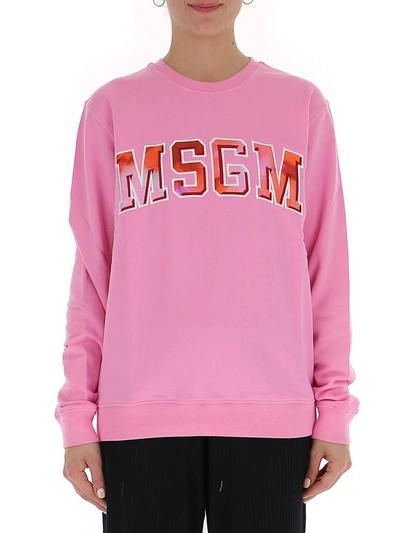 Shop Msgm Logo Sweatshirt In Pink