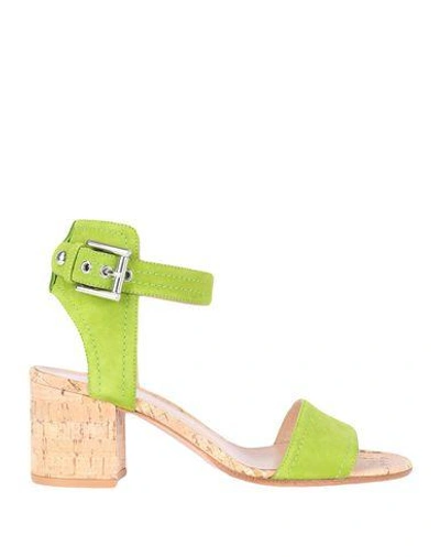 Shop Gianvito Rossi Sandals In Light Green