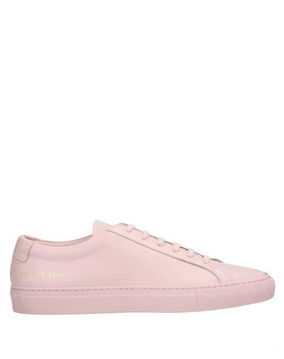 Shop Common Projects Sneakers In Pink