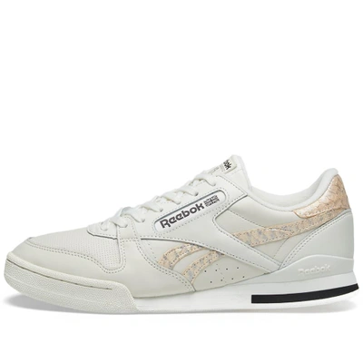 Shop Reebok Phase 1 Pro In Neutrals