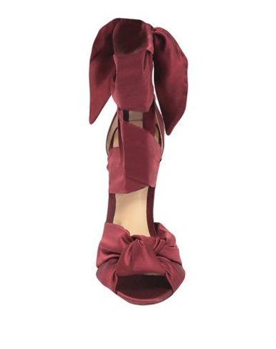 Shop Alexandre Birman Sandals In Maroon
