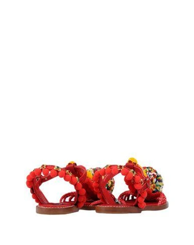 Shop Dolce & Gabbana Sandals In Red