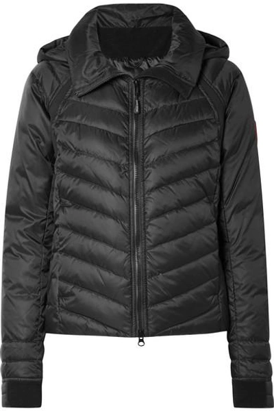 Shop Canada Goose Hybridge Base Hooded Quilted Shell Down Jacket In Black