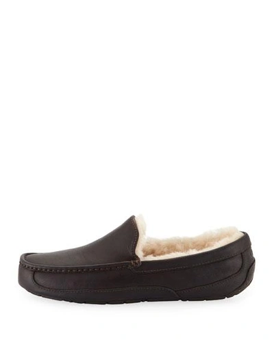 Shop Ugg Men's Ascot Water-resistant Leather Slippers In Brown