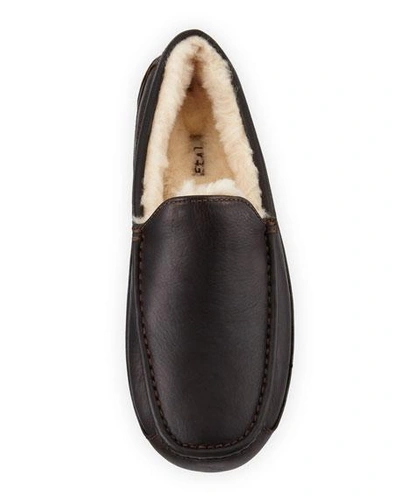 Ugg Men's Ascot Water-resistant Leather Slippers In Brown