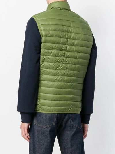 Shop Save The Duck Padded Gilet In Green