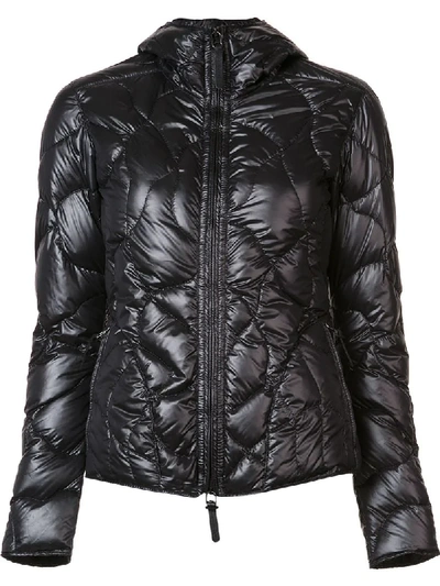 Shop Kru Quilted Zipped Jacket In Black