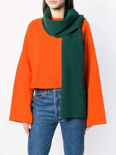 Shop Indress Ribbed Knit Scarf In Green