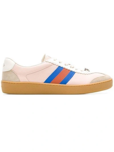 Shop Gucci G74 Low Top Web Sneakers In Pink