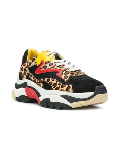 Shop Ash Leopard Lace-up Sneakers - Black