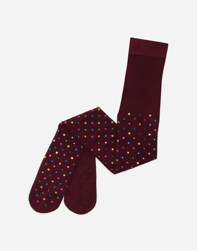 Shop Dolce & Gabbana Tights With Rhinestones In Bordeaux