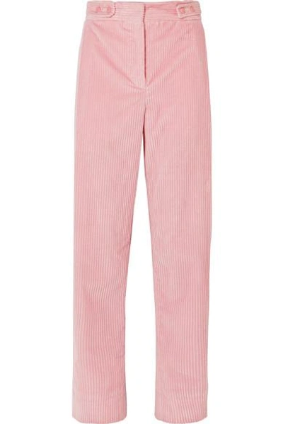 Shop Cedric Charlier Cotton-corduroy Pants In Pink