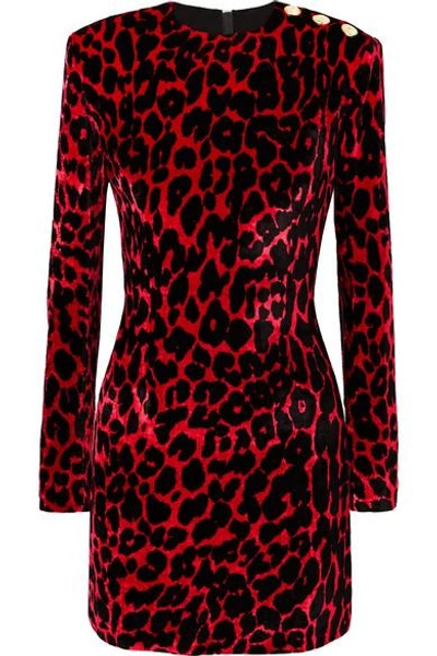 Balmain Button-embellished Leopard-print Velvet Mini Dress In Red | ModeSens