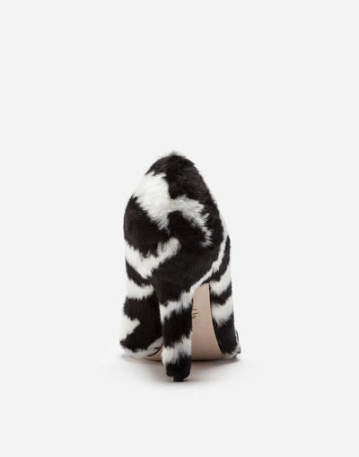 Shop Dolce & Gabbana Pumps In Zebra Faux Fur In Multicolor