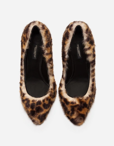Shop Dolce & Gabbana Pumps In Leopard Faux Fur In Leopard Print