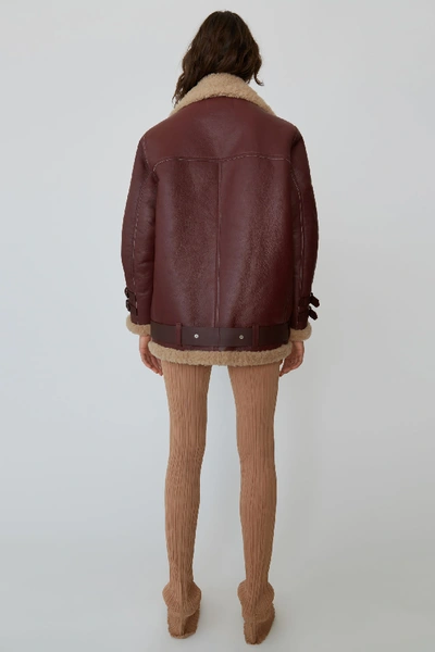 Shop Acne Studios  In Burgundy/beige