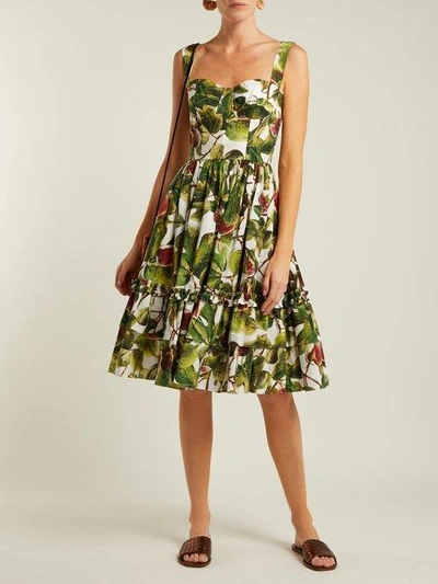 Dolce & Gabbana Fig-print Cotton Bustier Dress In Green | ModeSens