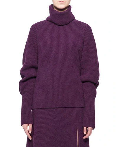 Shop Altuzarra Turtleneck Long-sleeve Cashmere Sweater In Purple