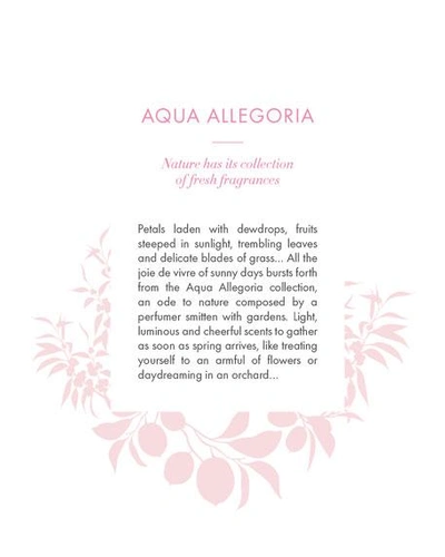 Shop Guerlain Aqua Allegoria Pamplelune Eau De Toilette, 4.2 Oz./ 125 ml In C00