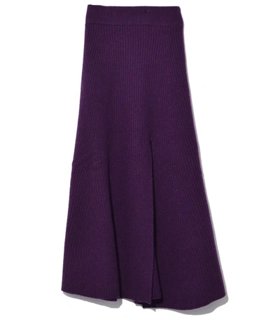 Shop Altuzarra Royal Purple Cavin Skirt