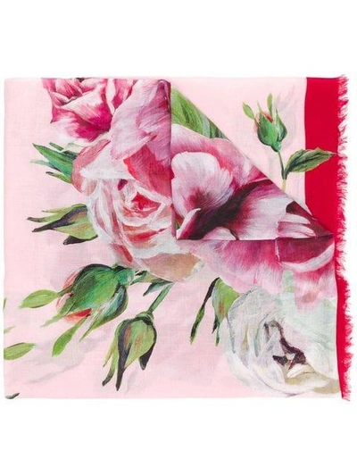 Shop Dolce & Gabbana Peony-print Scarf - Pink