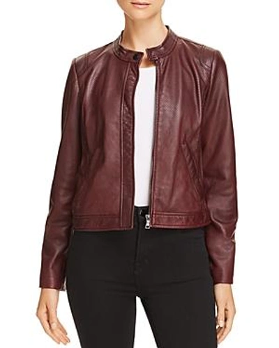 Shop Rebecca Taylor Perforated Leather Jacket - 100% Exclusive In Bordeaux