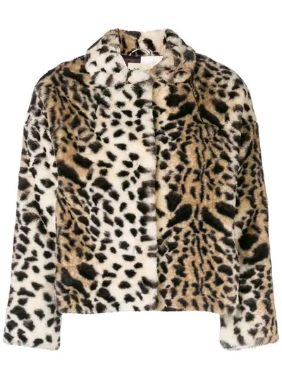 Shop Bellerose Leopard Print Jacket - Brown