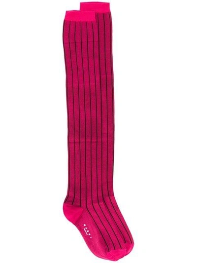 Shop Marni Striped Over-knee Socks - Pink