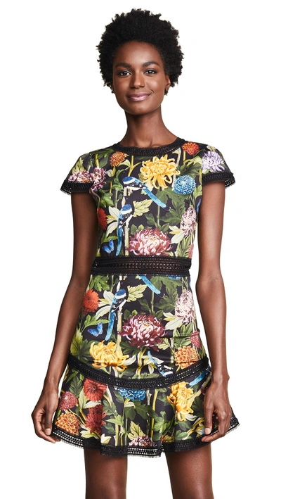 Shop Alice And Olivia Rapunzel Dress In Chinoiserie Multi