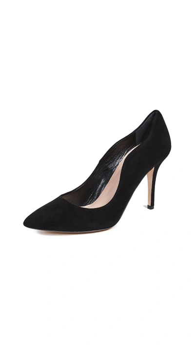 Shop Club Monaco Eveleen Suede Pumps In Black