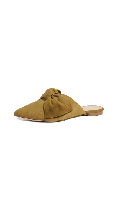 Shop Madewell The Remi Bow Mules In Spiced Olive