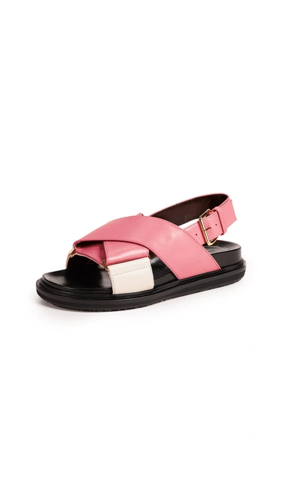 Shop Marni Fussbett Sandals In Pink Candy/antique White