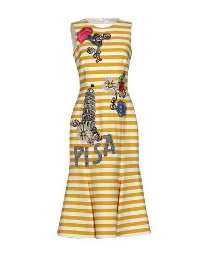 Shop Dolce & Gabbana Midi Dress In Ocher