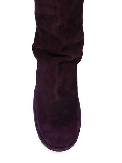 Shop Guidi Zipped Boots In Cv42t Purple