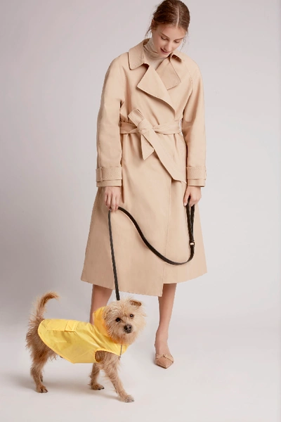 Shop Ware Of Dog Medium Anorak Raincoat With Hood In Yellow