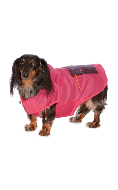 Shop Ware Of Dog Medium Colorblock Anorak Raincoat In Pink